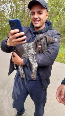 Новые владельцы